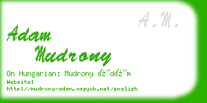 adam mudrony business card